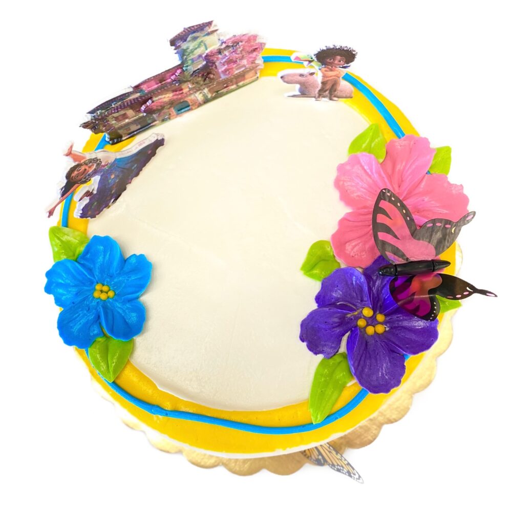 Top view of Encanto decoration on round cake frosted in white buttercream.