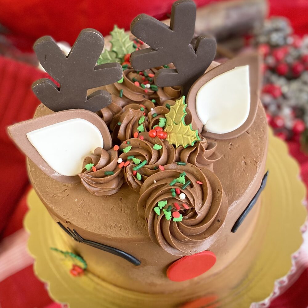 Top view of reindeer cake.