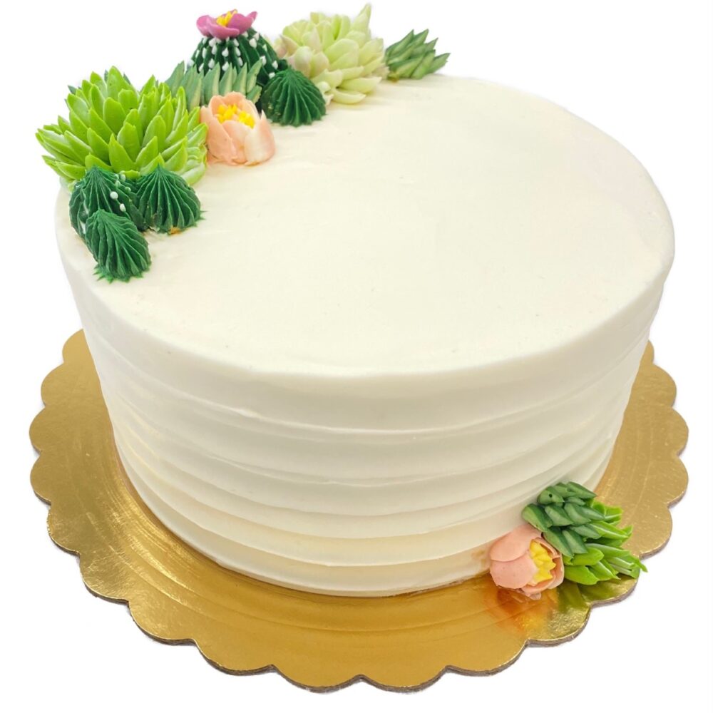 Side view of Succulent Garden decoration on round cake frosted in white buttercream.