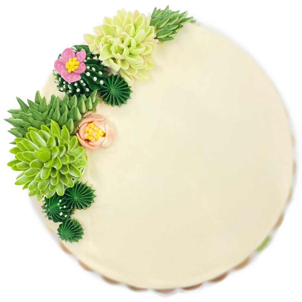 Top view of Succulent Garden decoration on round cake frosted in white buttercream.