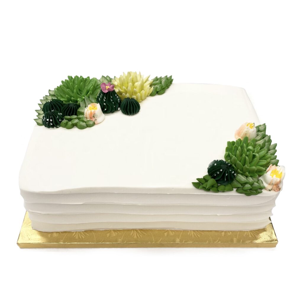 Side view of sheet cake Succulent Garden cake decoration.